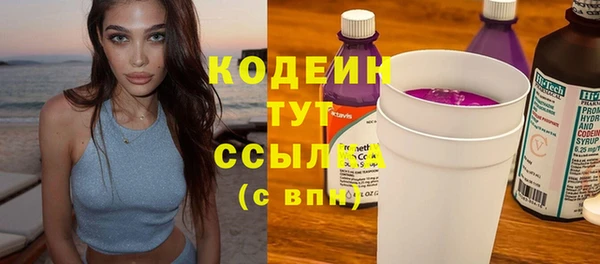 молекула духа Гусев
