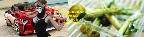 стафф Алексин