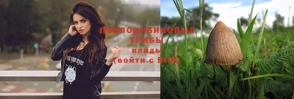 метадон Алексеевка