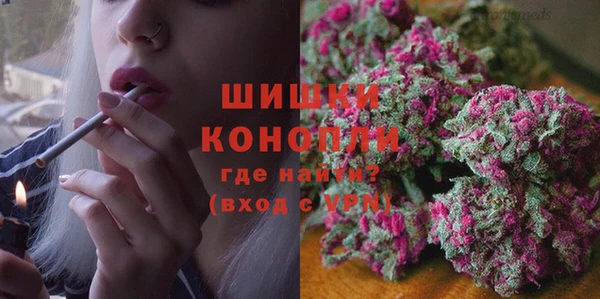 сатива Алзамай